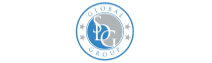 SDG Global group