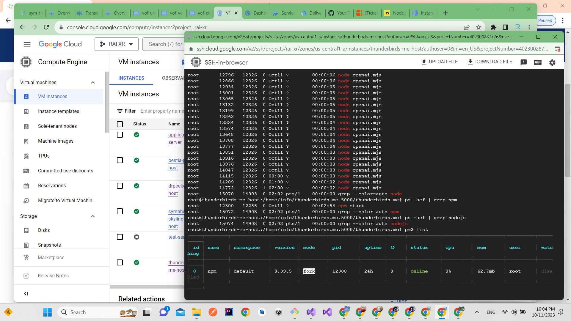 THUNDERBIRDS.ME live on Google Cloud - migrated from from hostwinds.com